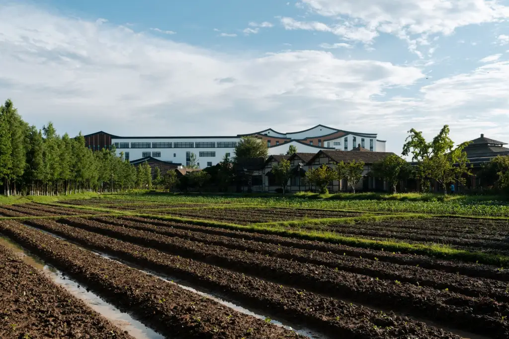2025年上海弱电工程光缆接续盒选型要点与技术规范