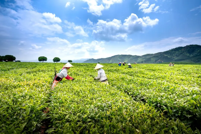 上海安美能光缆接续盒技术参数与工程适配性分析