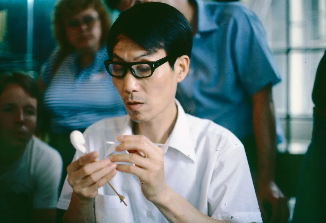 光缆接续盒与终端盒选型对比：弱电工程如何匹配光纤链路需求