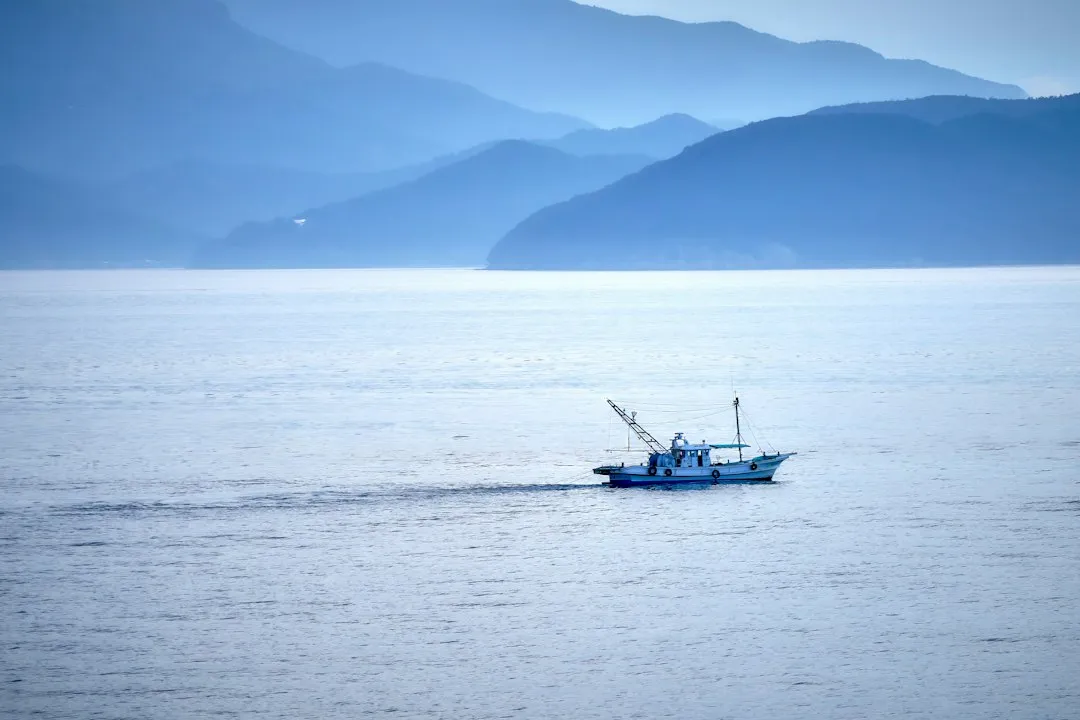 上海弱电工程常用分纤箱型号规格对比指南